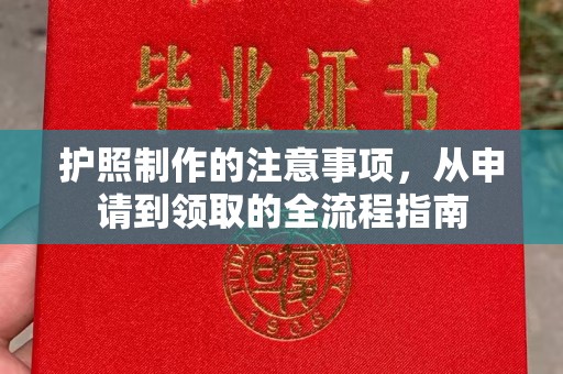 花山护照制作的注意事项，从申请到领取的全流程指南