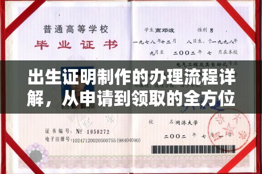 花山出生证明制作的办理流程详解，从申请到领取的全方位指南